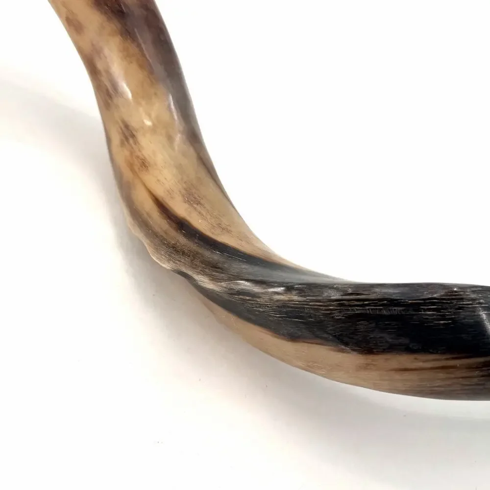 Unbranded kosher kudu
